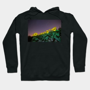 Starry Sky over Colby Farm Sunflowers Newbury MA Hoodie